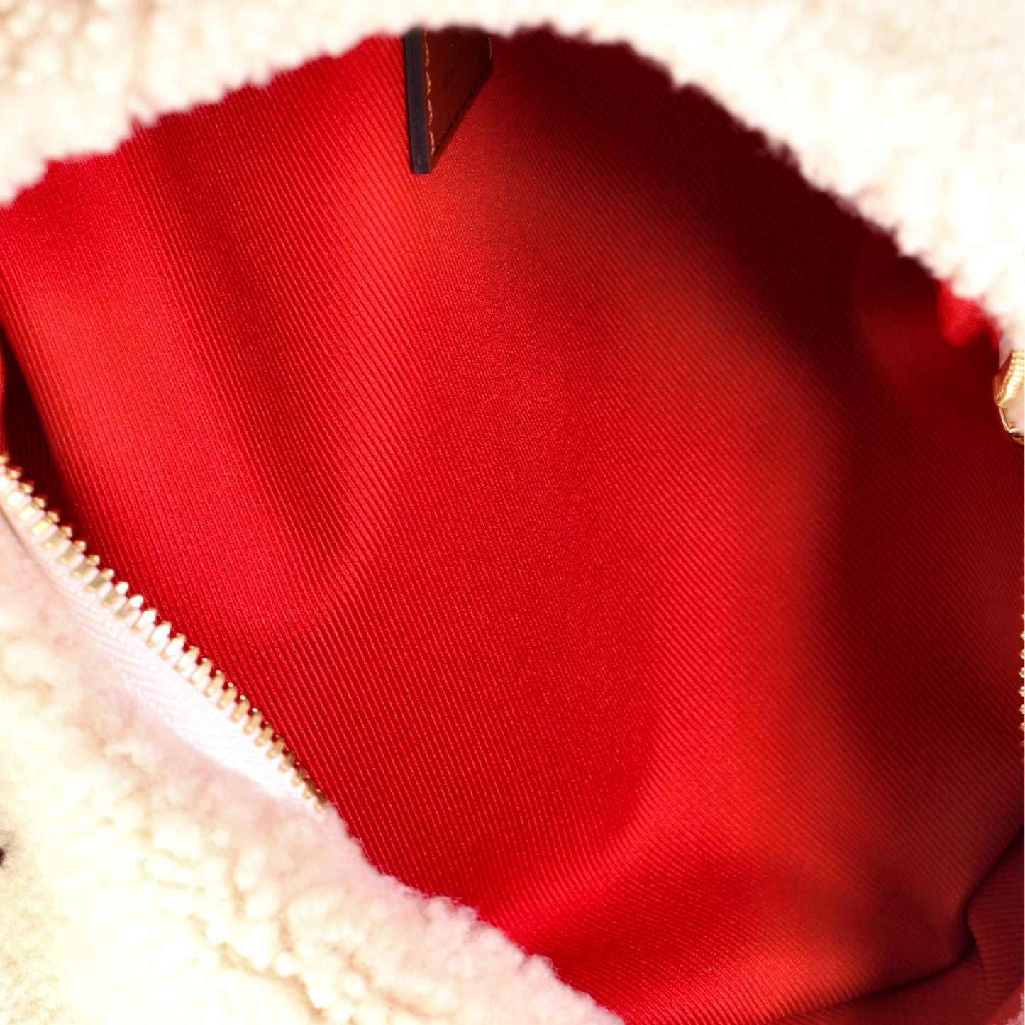 Louis Vuitton Bum Bag Teddy Fleece