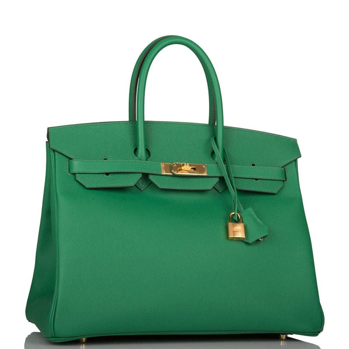 Hermes Cactus Epsom Birkin 35cm Gold Hardware BagAg