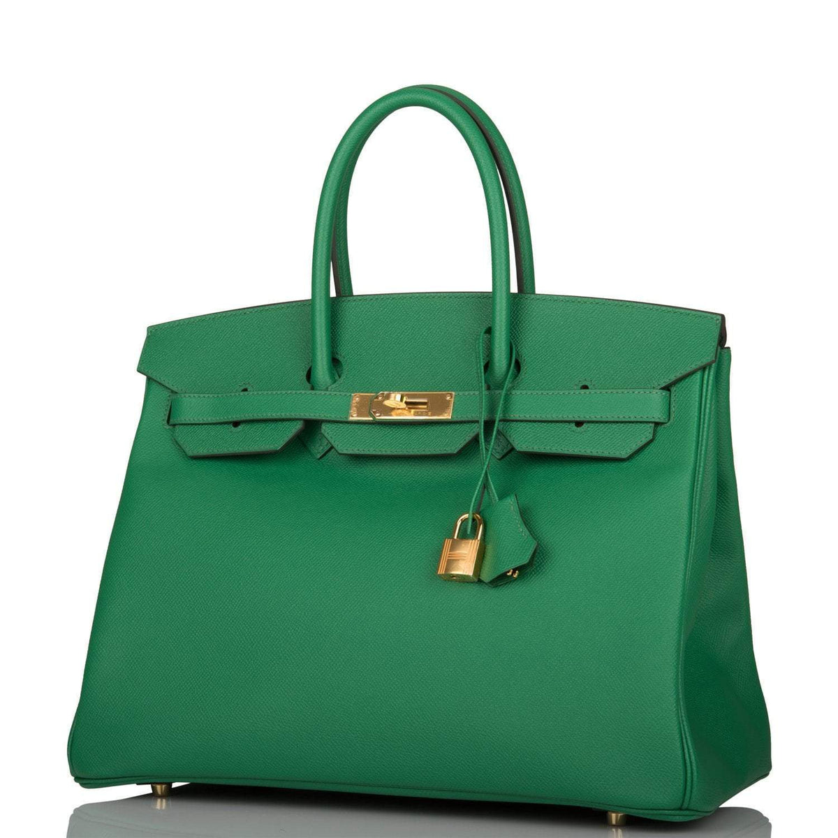 Hermes Cactus Epsom Birkin 35cm Gold Hardware BagAg