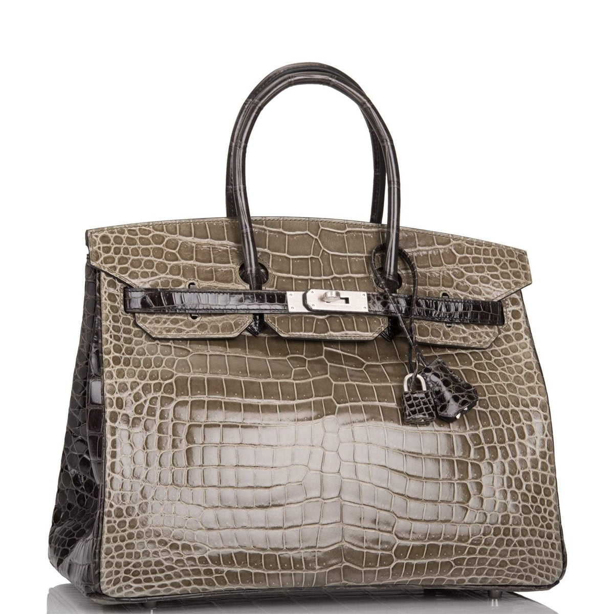 Hermes  Birkin 35cm Bi-Color Gris Tourterelle and Graphite Shiny Porosus Crocodile Brushed Palladium Hardware Hermes