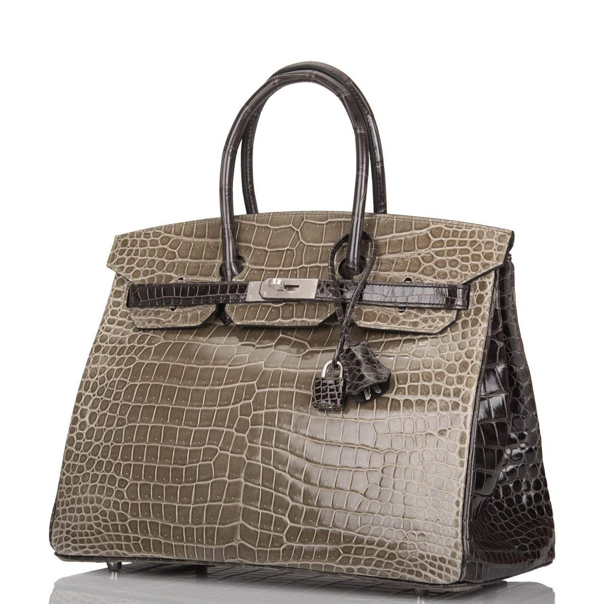 Hermes  Birkin 35cm Bi-Color Gris Tourterelle and Graphite Shiny Porosus Crocodile Brushed Palladium Hardware Hermes