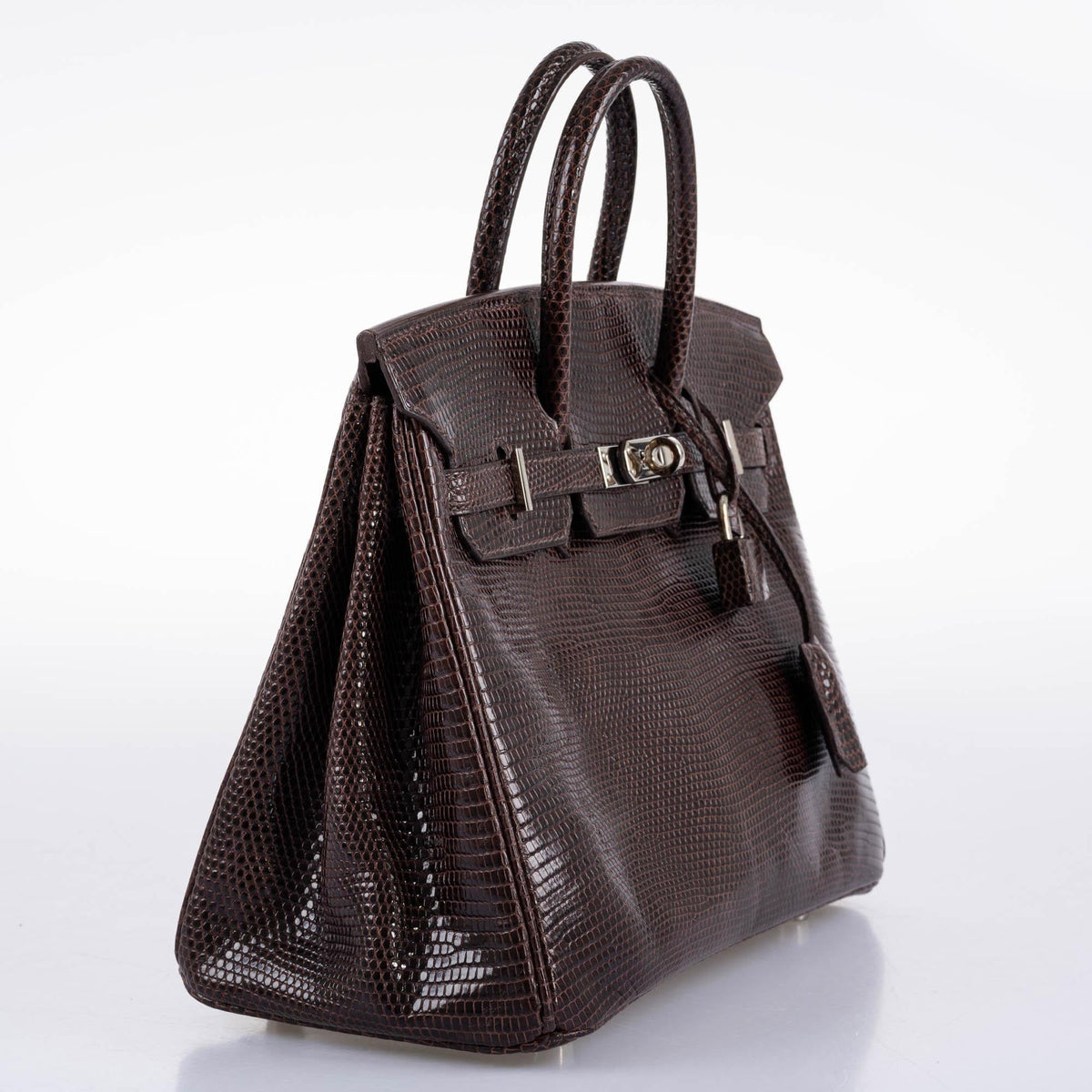 Hermes Birkin 25 Havane Nilo Lizard with Palladium Hardware Hermes