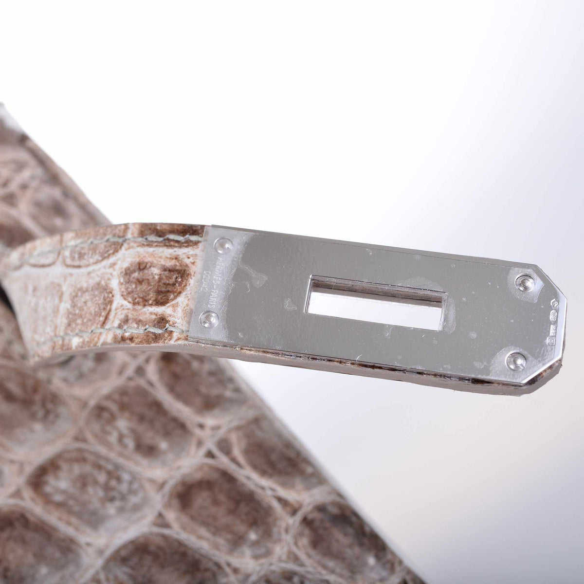 Hermes Birkin 30 Matte Himalayan Niloticus Crocodile with Diamonds & White Gold Hardware Hermes
