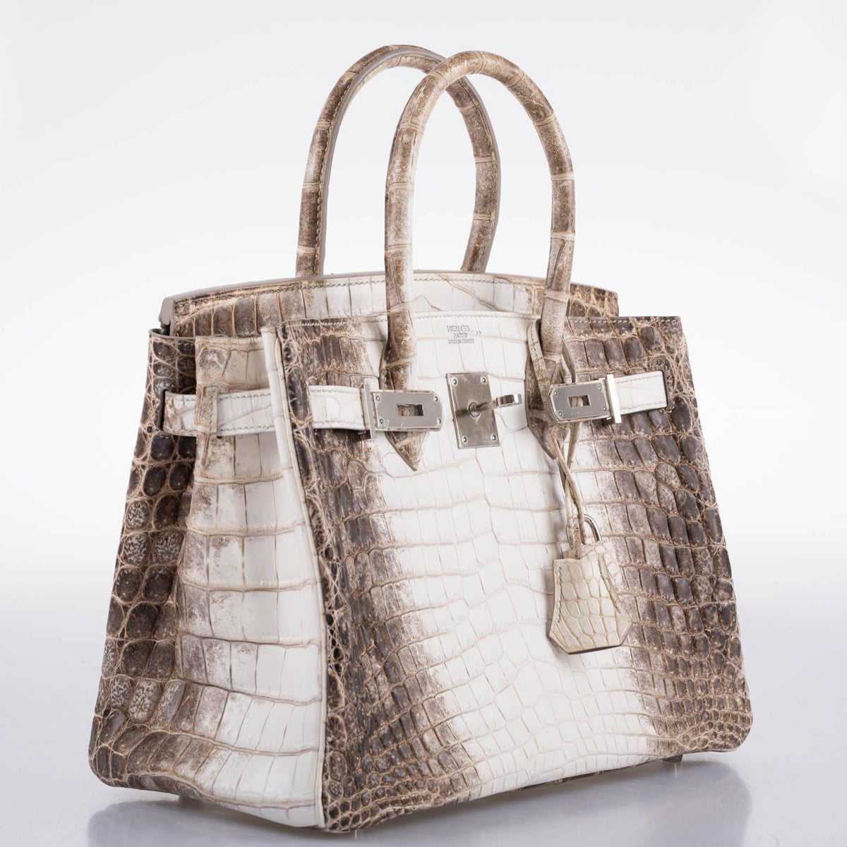 Hermes Birkin 30 Matte Himalayan Niloticus Crocodile Palladium Hardware Hermes