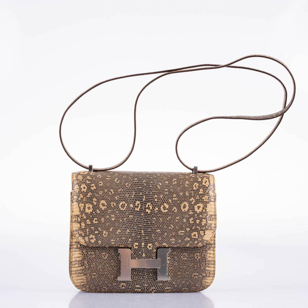 Hermes Constance 18 Ombre Salvator Lizard Palladium Hardware Hermes