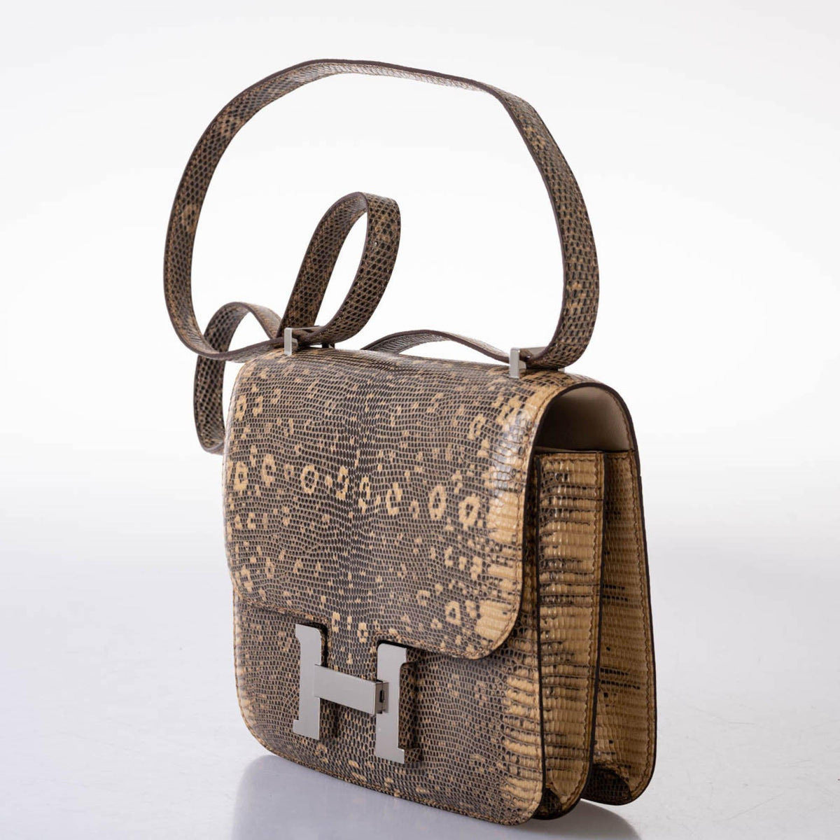 Hermes Constance 18 Ombre Salvator Lizard Palladium Hardware Hermes