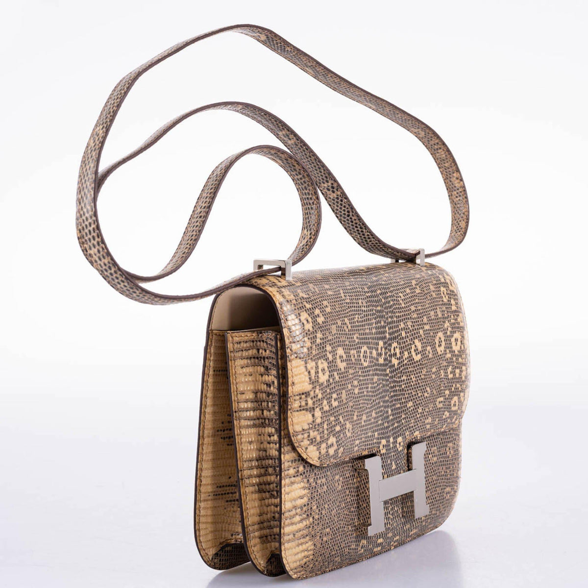 Hermes Constance 18 Ombre Salvator Lizard Palladium Hardware Hermes
