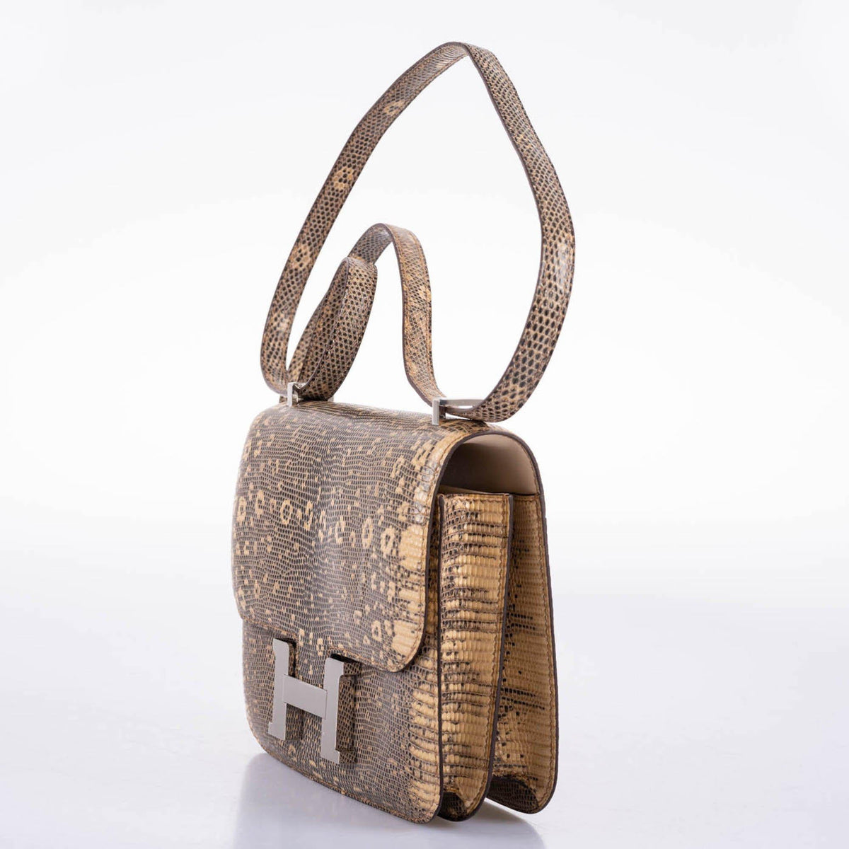 Hermes Constance 18 Ombre Salvator Lizard Palladium Hardware Hermes