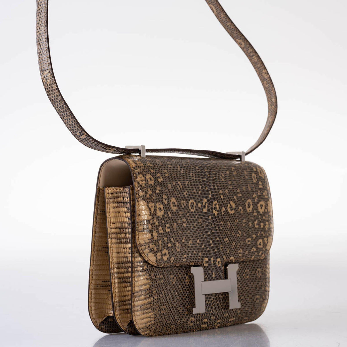 Hermes Constance 18 Ombre Salvator Lizard Palladium Hardware Hermes