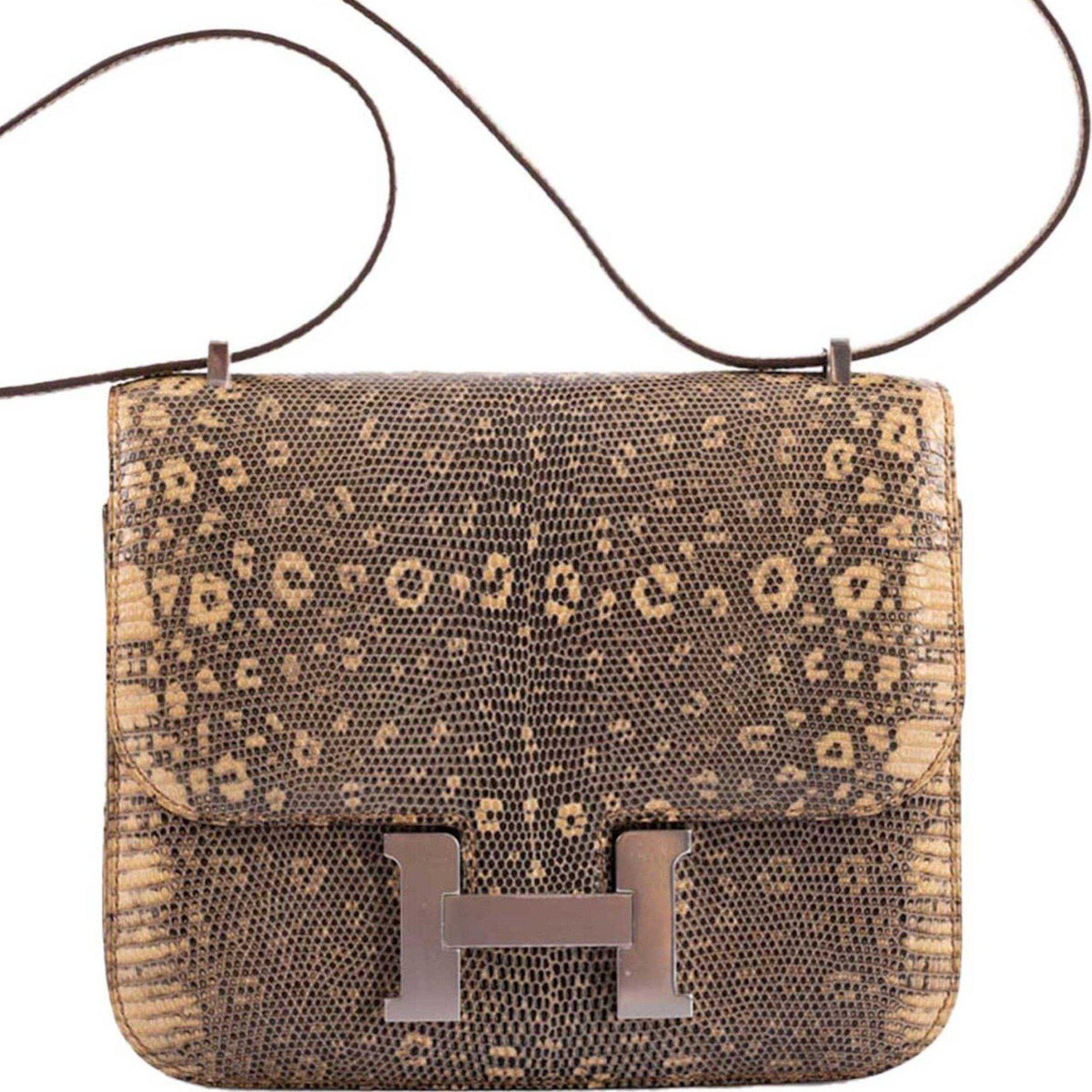 Hermes Constance 18 Ombre Salvator Lizard Palladium Hardware Hermes