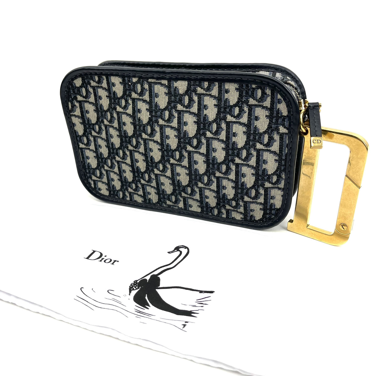 CHRISTIAN DIOR 2019 Oblique Diorquake Pouch Dior