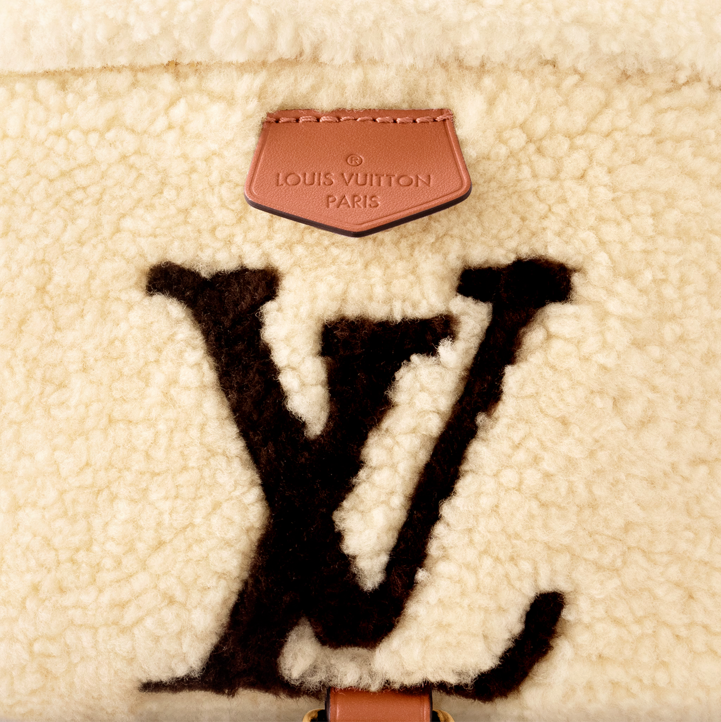 Louis Vuitton Bumbag MM Shearling Belt Bag M23715