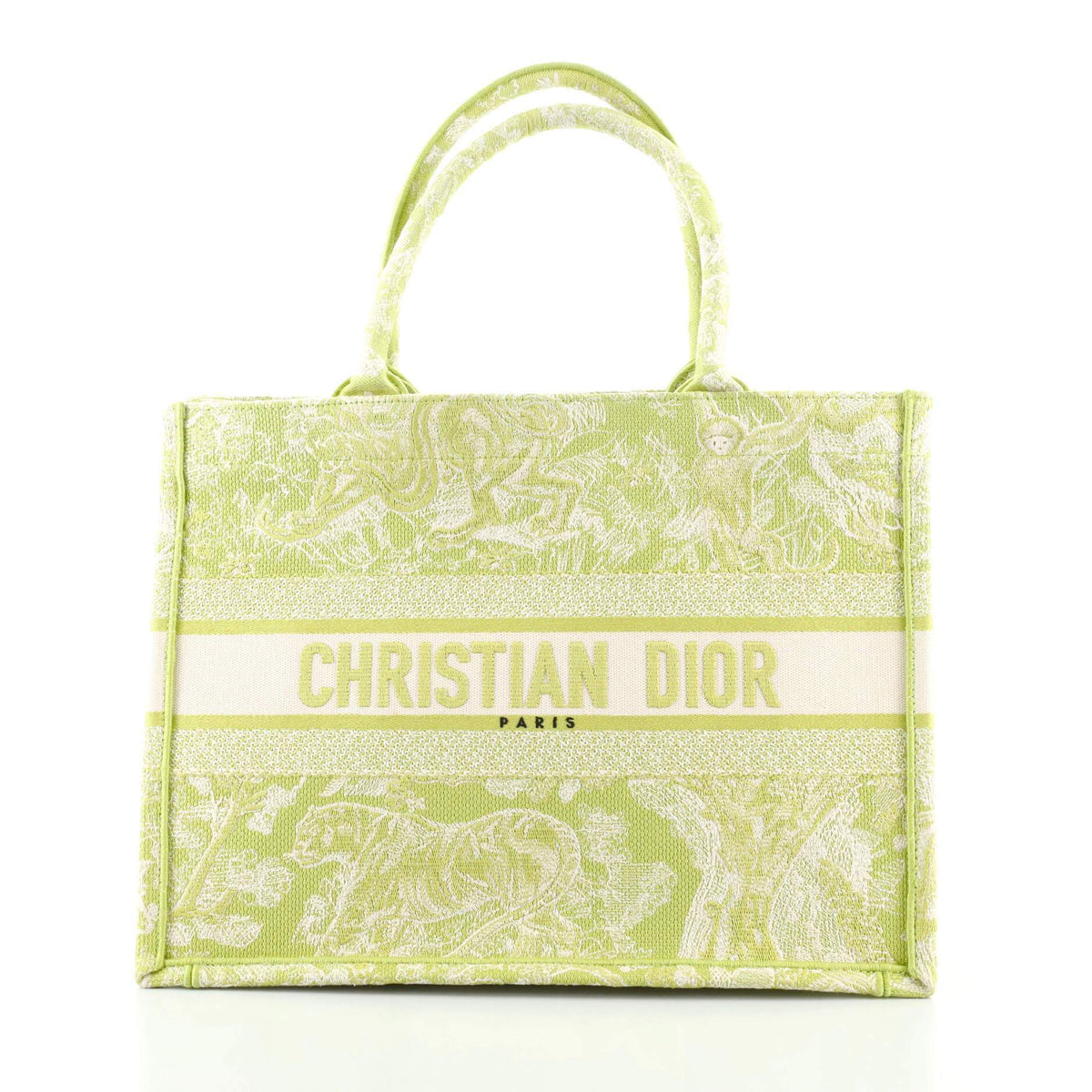 Christian Dior Book Tote Small Green Canvas Dior