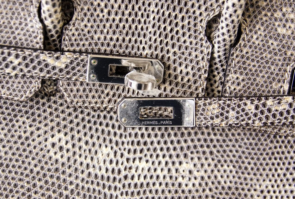 Hermès Birkin 25 Ombre Lizard Bag PHW Crowned Bag