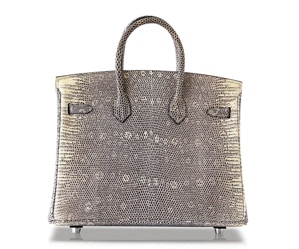 Hermès Birkin 25 Ombre Lizard Bag PHW Crowned Bag