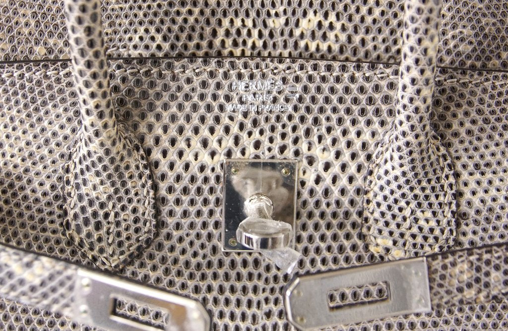 Hermès Birkin 25 Ombre Lizard Bag PHW Crowned Bag