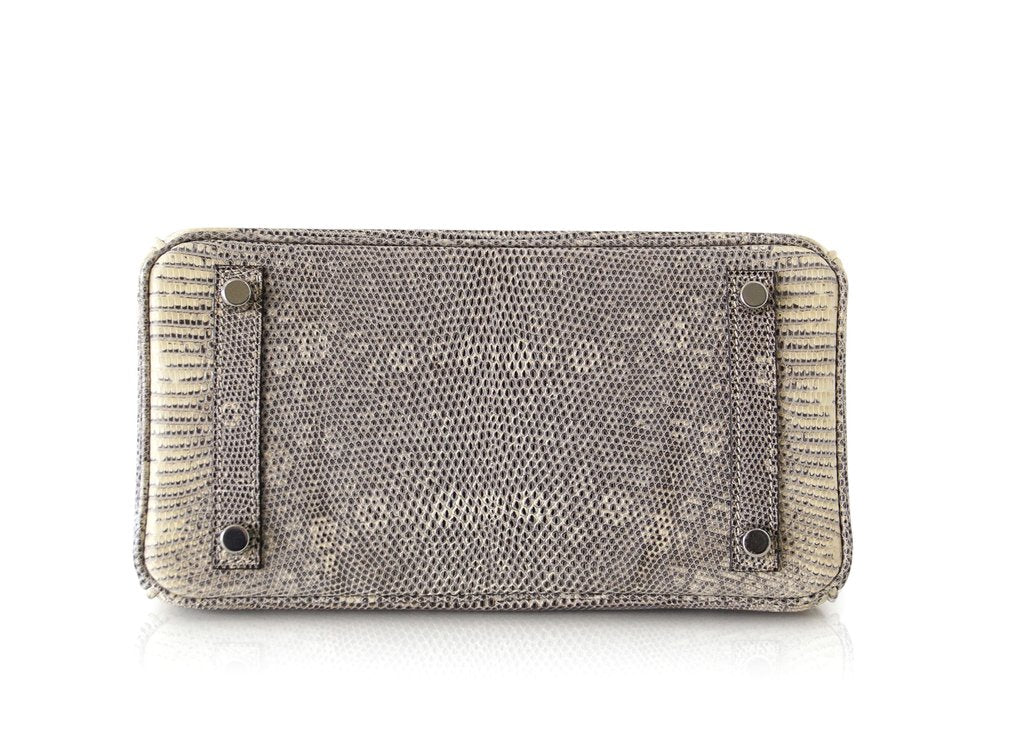 Hermès Birkin 25 Ombre Lizard Bag PHW Crowned Bag