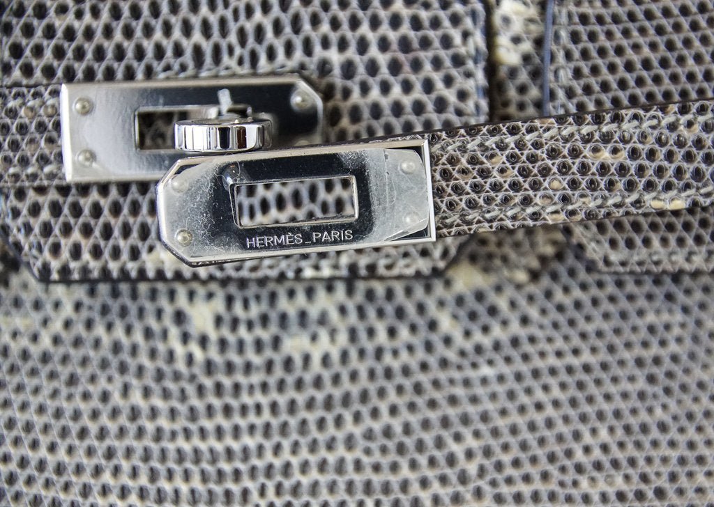 Hermès Birkin 25 Bag Ombre Lizard PHW - Crowned Bag