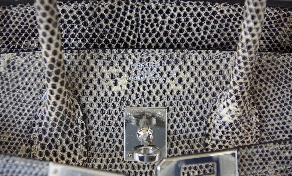 Hermès Birkin 25 Bag Ombre Lizard PHW - Crowned Bag