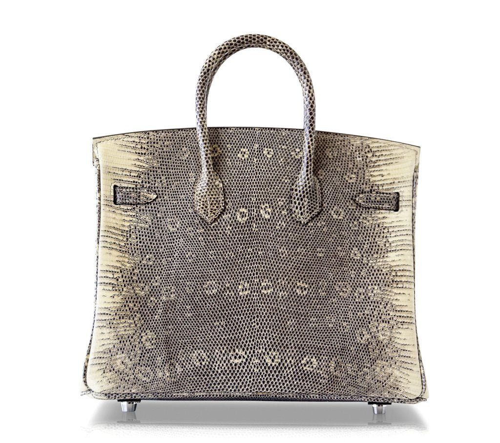 Hermès Birkin 25 Bag Ombre Lizard PHW - Crowned Bag