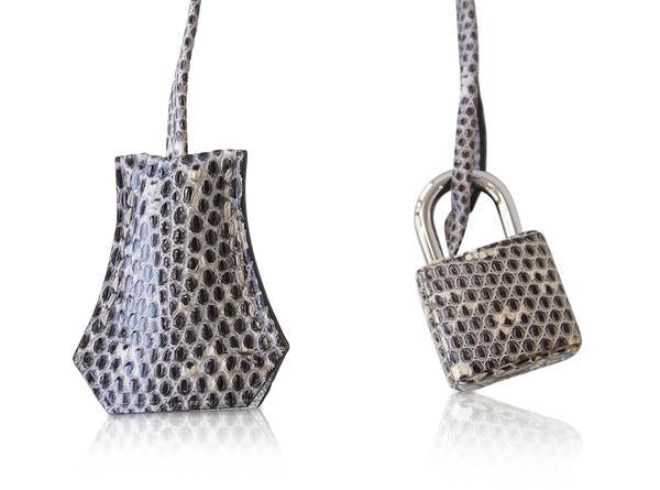 Hermès Birkin 25 Bag Ombre Lizard PHW - Crowned Bag