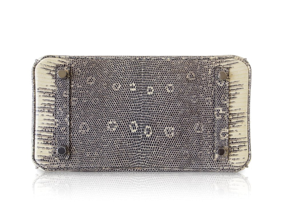Hermès Birkin 25 Bag Ombre Lizard PHW - Crowned Bag