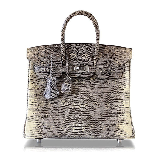 Hermès Birkin 25 Bag Ombre Lizard PHW - Crowned Bag