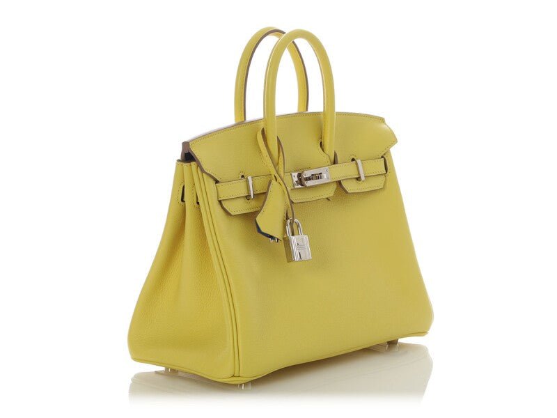 Lime Novillo and Bleu Hydra Verso Birkin 25 Gold Hardware, 2021 - Crowned Bag