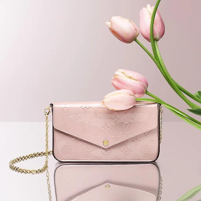 Louis Vuitton Félicie Pochette Louis Vuitton