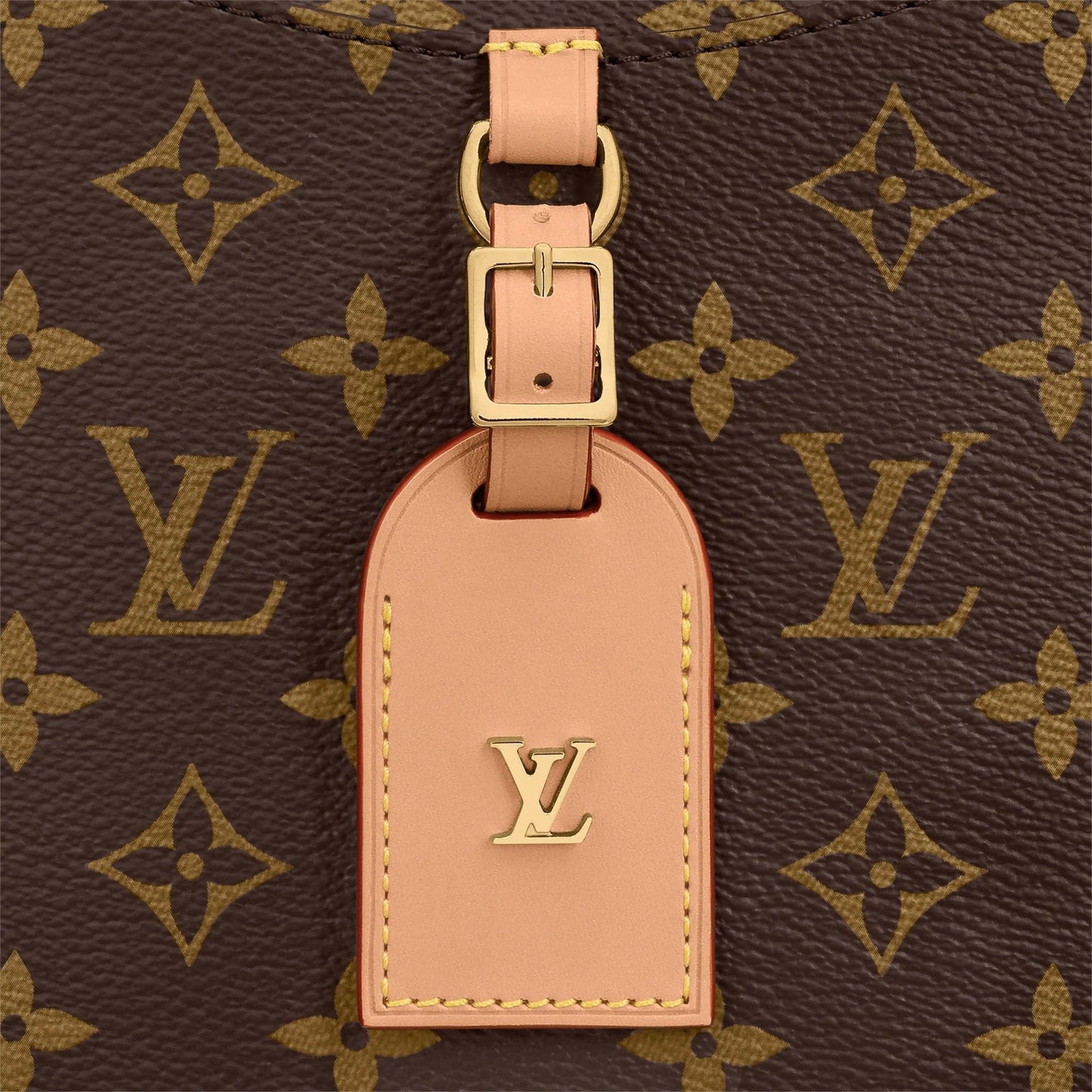Louis Vuitton Odéon PM Monogram Crossbody Bag
