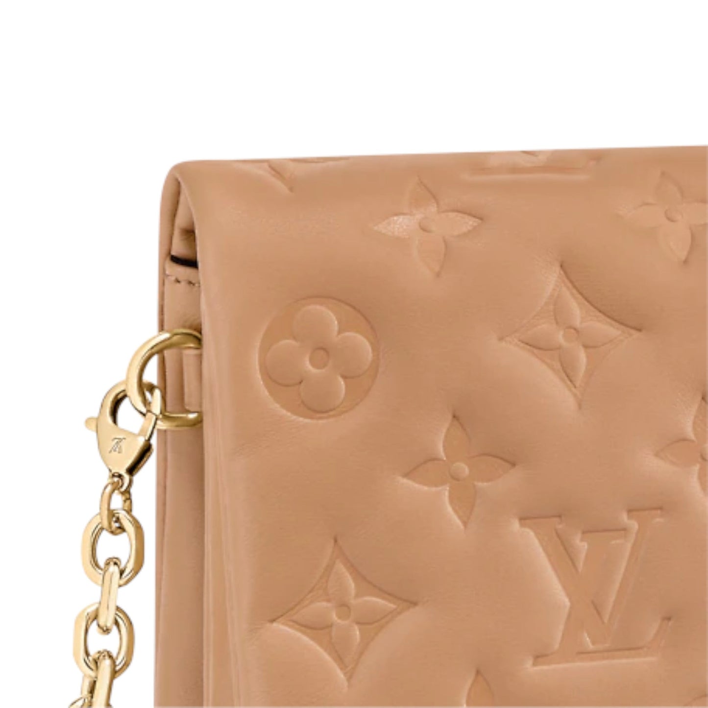 Louis Vuitton Pochette Coussin Camel